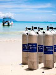 Blue Sea Divers Seychelles