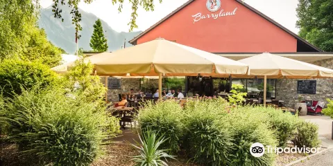 聖伯納犬博物館