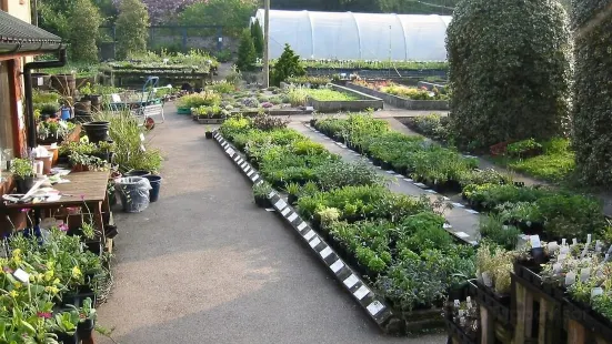 Garden House Nursery