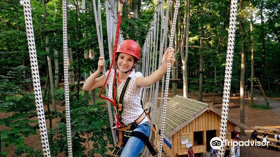 Abenteuerpark Waldhochseilgarten