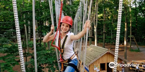Abenteuerpark Waldhochseilgarten