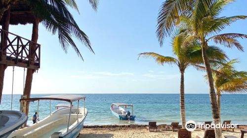 National Reef Park Of Puerto Morelos