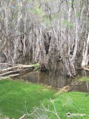 Herdsman Lake