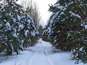 Biarezinski Biosphere Reserve