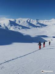 Svalbard Wildlife Expeditions