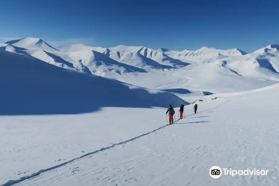 Svalbard Wildlife Expeditions