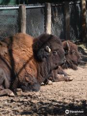 High Park Zoo