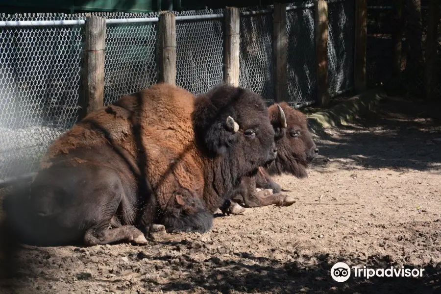 High Park Zoo