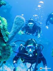 Cancun Scuba Center