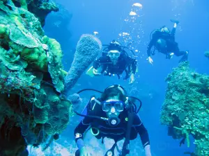 Cancun Scuba Center