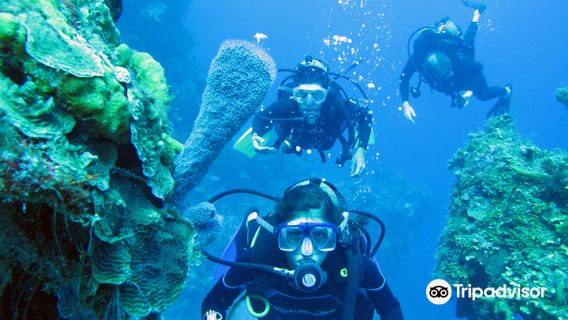 Cancun Scuba Center