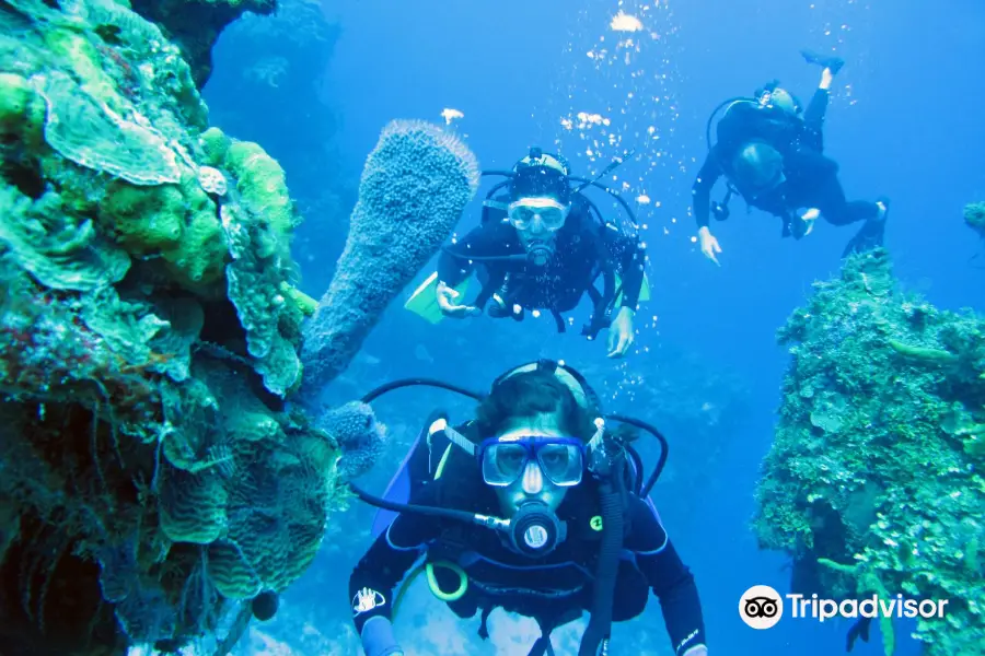 Cancun Scuba Center