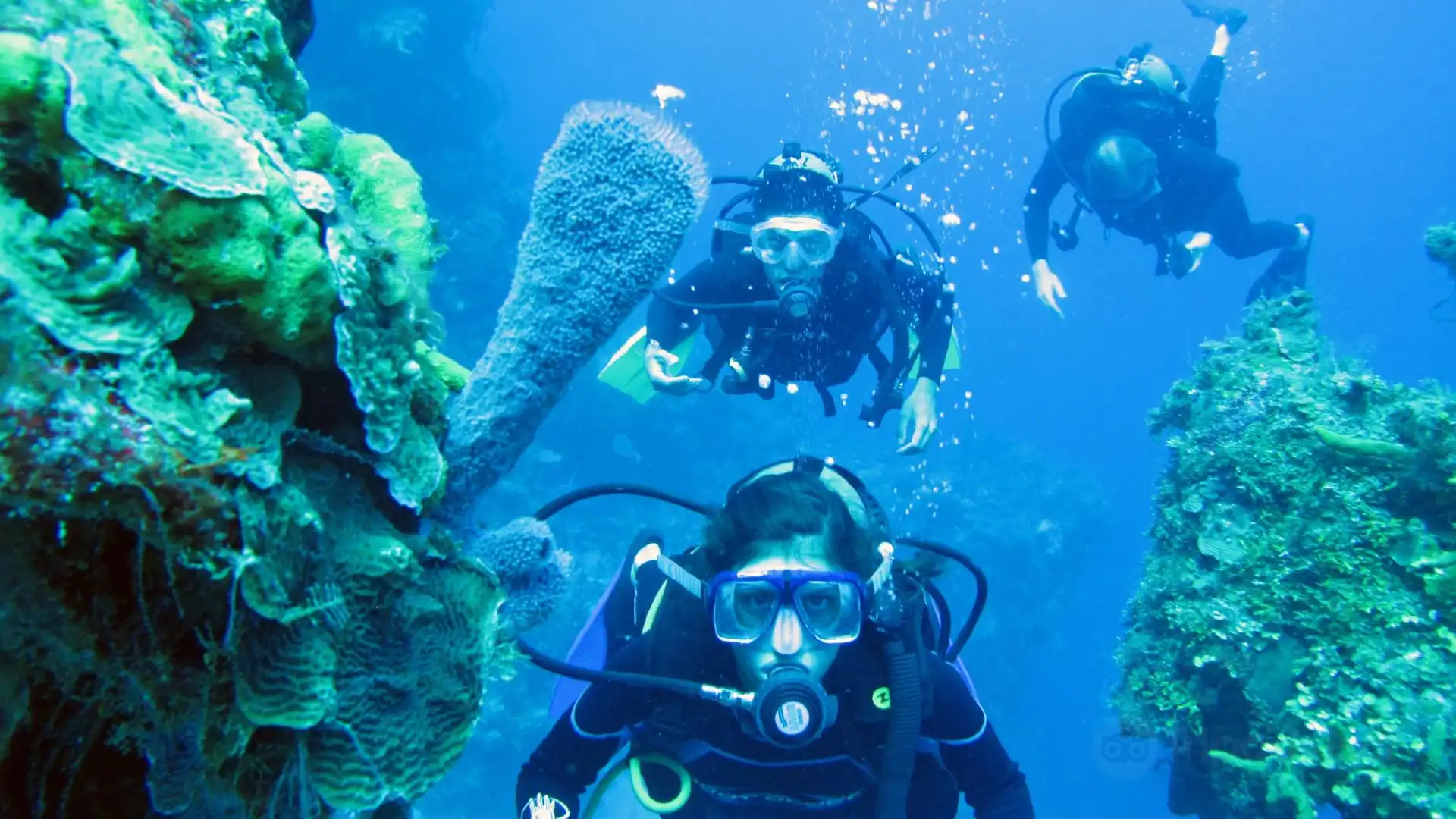Hotels near Cancun Scuba Center