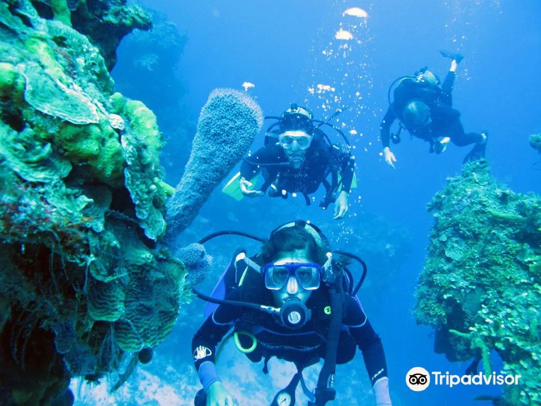 1_Cancun Scuba Center