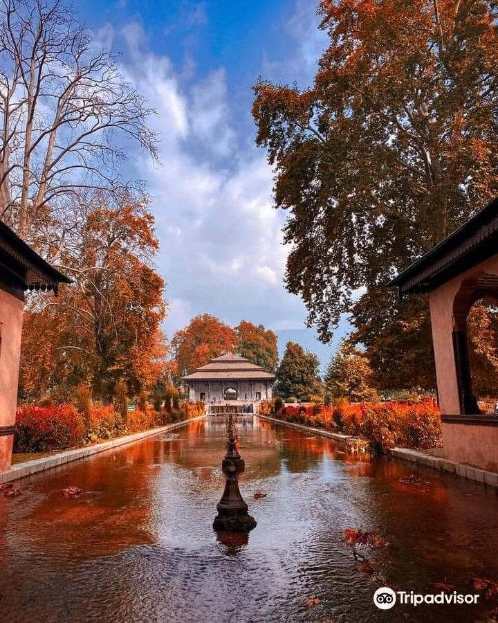 Nishat-Shalimar