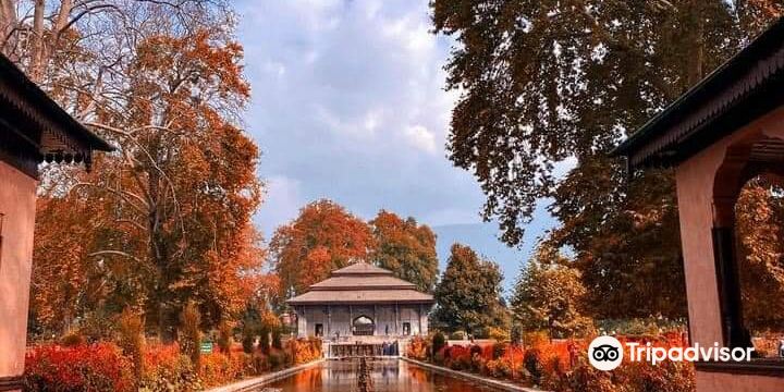 莎莉瑪花園
