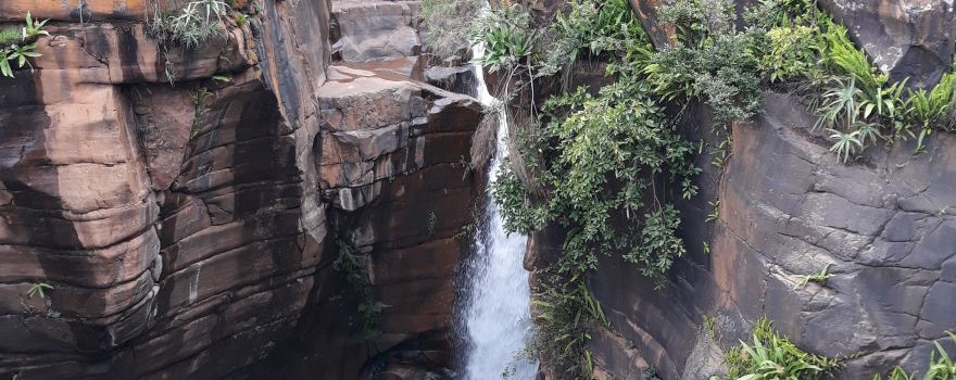 Sabie