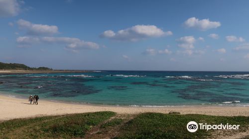 土盛海岸