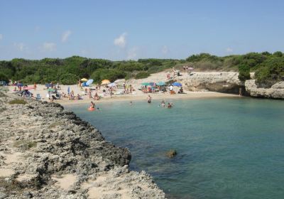 Parco Dune Costiere