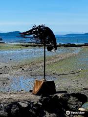 Buck Bay Shellfish Farm