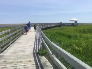 Parc national Kouchibouguac