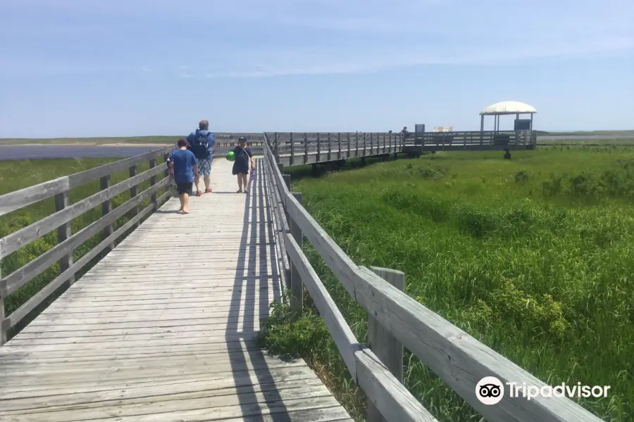 Kouchibouguac National Park