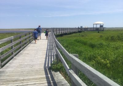 Kouchibouguac National Park