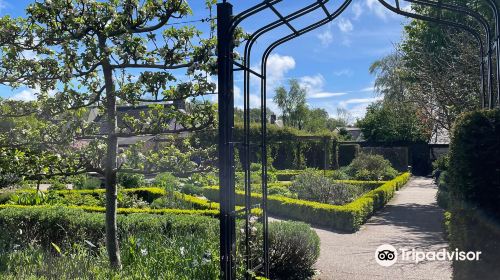 Cowbridge Physic Garden