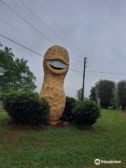 Jimmy Carter Peanut of Plains Statue