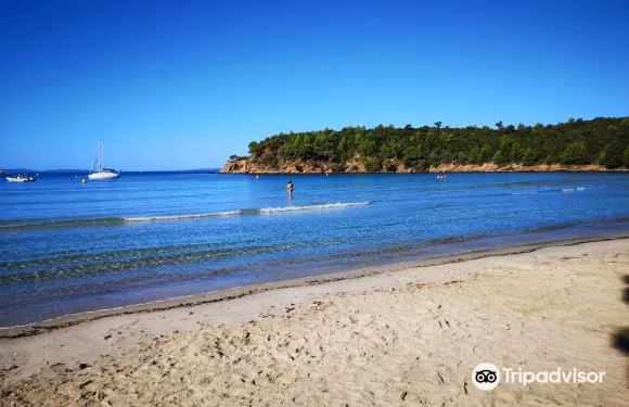 博爾姆萊米莫薩