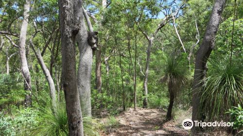 Conway National Park