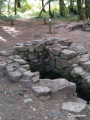 La fontaine de Barenton