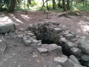 La fontaine de Barenton