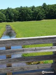 The Nature Trail and Cranberry Bog