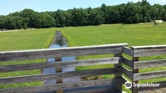 The Nature Trail And Cranberry Bog