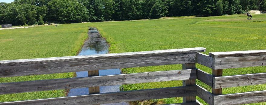 The Nature Trail and Cranberry Bog