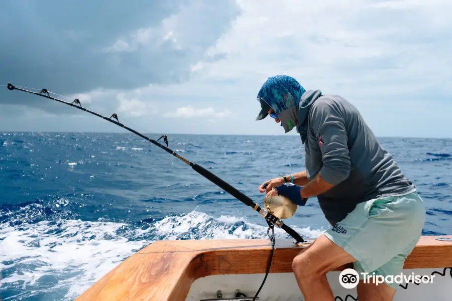 Ocean Fox Fishing