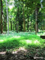 Conolly's Plot Ecotourism Centre Nilambur