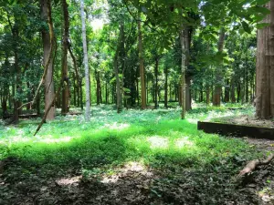 Conolly's Plot Ecotourism Centre Nilambur