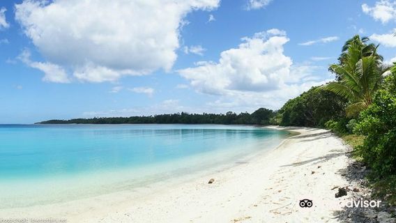 Club Hippique Adventure Park