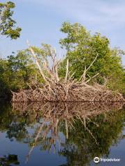 Ventanilla Community Ecotourism