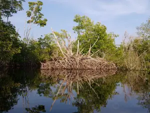 Ventanilla Community Ecotourism