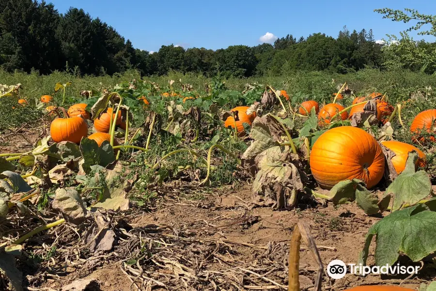 Frootogo Orchards