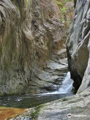 Peaks of Dreams | Canyoning - Via Ferrata - Tree