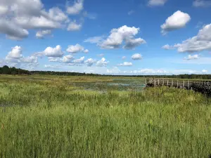 Crews Lake Wilderness Park