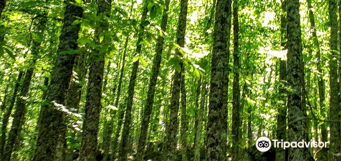 Things to Do in Comarca de Burgohondo el Tiemblo Cebreros in 2025