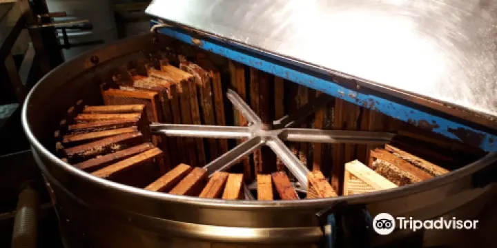 Musée La Ruche des Puys