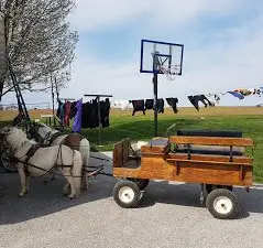 The Li'l Country Store & Miniature Horse Farm
