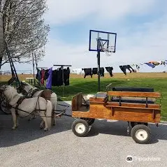 The Li'l Country Store & Miniature Horse Farm