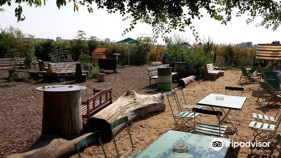 Maislabyrinth Erfurt